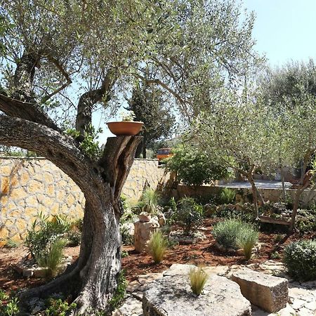 Apartament Pere Korčula Zewnętrze zdjęcie