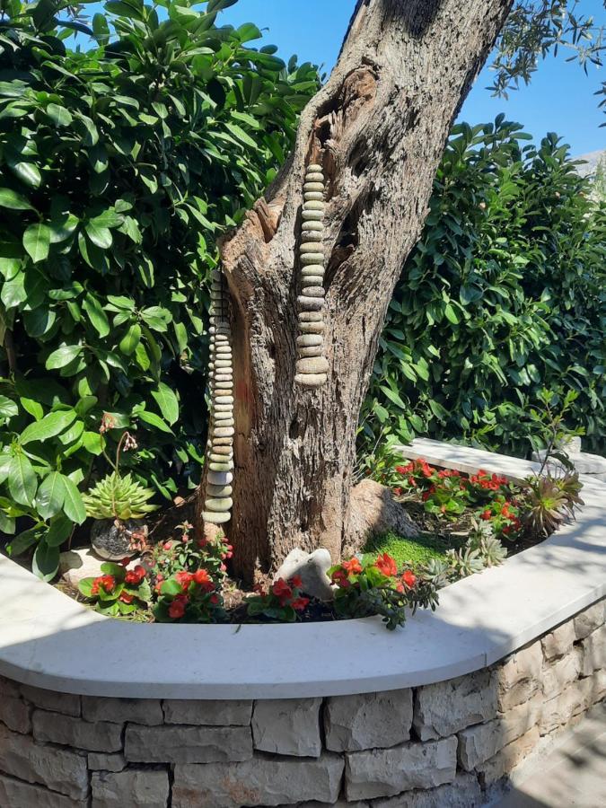 Apartament Pere Korčula Zewnętrze zdjęcie