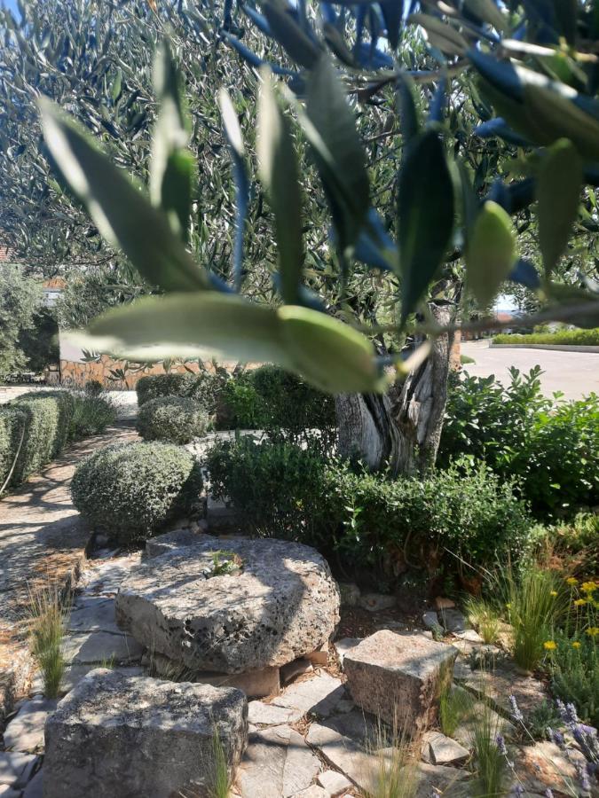 Apartament Pere Korčula Zewnętrze zdjęcie