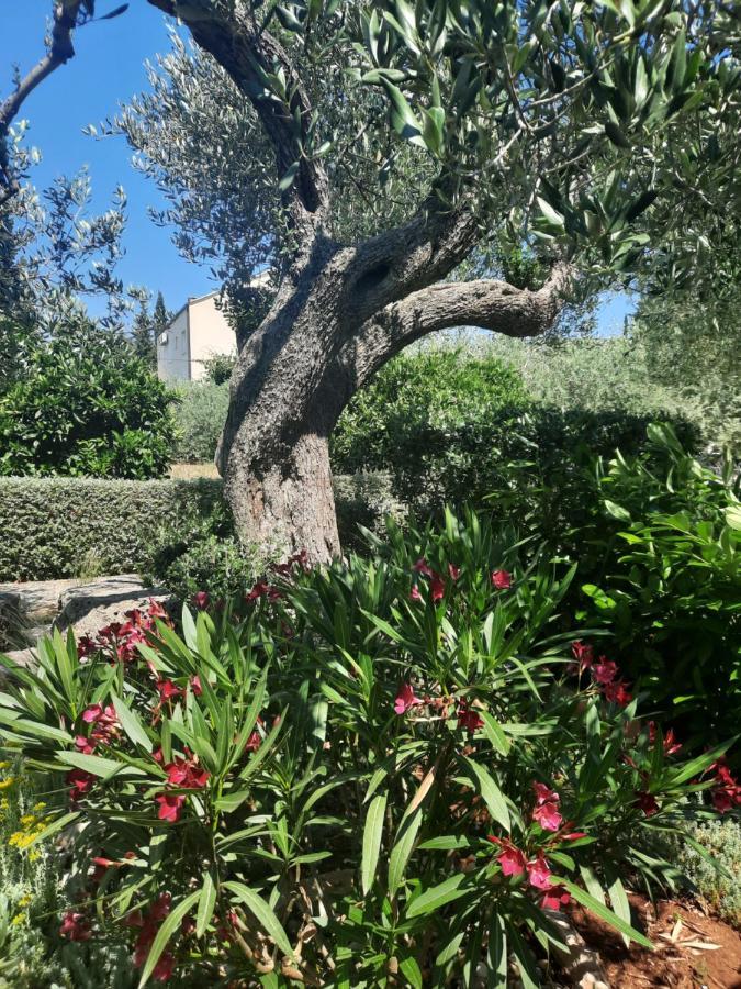 Apartament Pere Korčula Zewnętrze zdjęcie